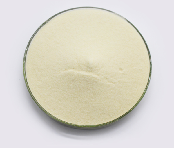 Soy Protein Isolate CAS 9010-10-0