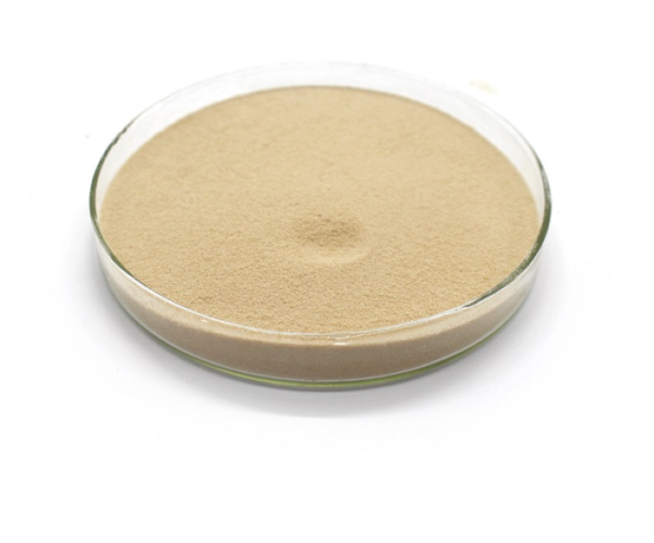 Vital Wheat Gluten