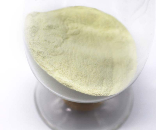 Collagen CAS 9064-67-9