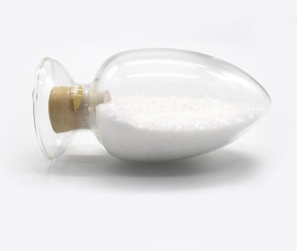 Ginkgo biloba Extract