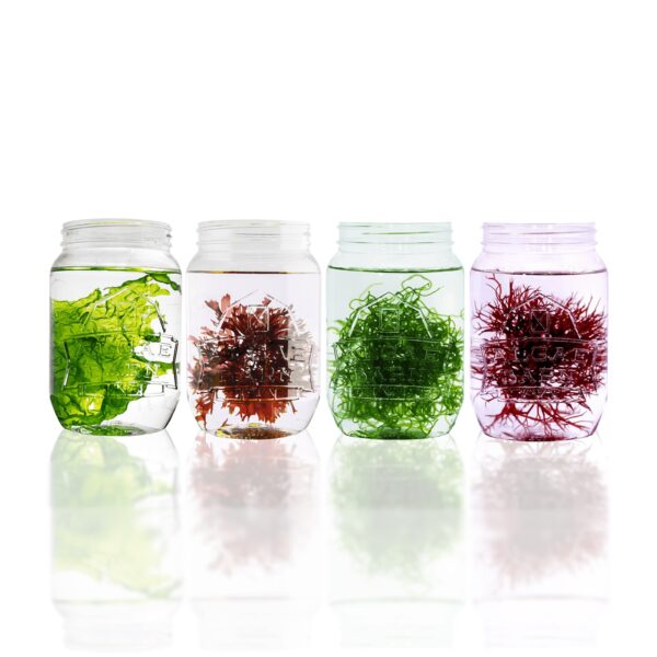 Macroalgae Pack